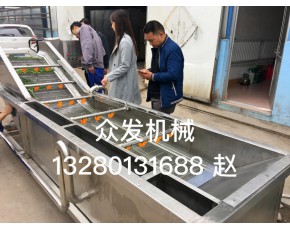 蔬菜毛輥噴淋清洗機 土豆芋頭去皮清洗機 蘑菇清洗加工設備 