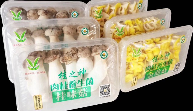 廣東：桂之神食用菌產品喜獲廣東省名牌產品稱號