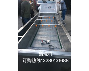 廠家直銷蘿卜毛輥噴淋清洗機 土豆去皮清洗機 蘑菇清洗加工設備