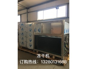 廠家出售真空凍干機，花菇多功能凍干設備銀耳冷凍干燥機