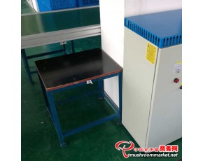 安澤縣臭氧發生器廠家