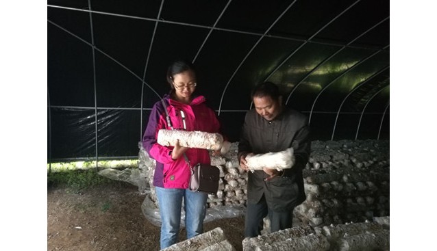 貴州省農科院品資所在赫章縣開展食用菌種植等科技培訓班
