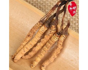 三級蟲草多少錢一克