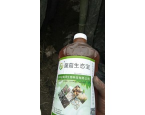 食用菌營養液菌菇生態寶