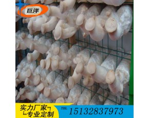 大棚平菇養殖架價格 秀珍菇出菇網格架 猴頭菇可移動網格架