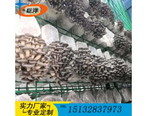 江西省食用菌栽培架 現代化大棚出菇架 食用菌規模化養殖出菇架