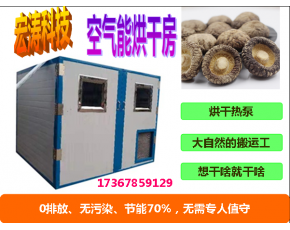 供應野生菌熱風循環烘箱 竹蓀烘干機 竹筍干燥機 金絲皇菊烘干房