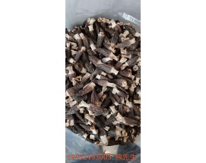 供應各品質羊肚菌