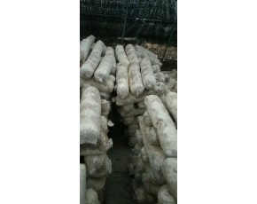 菌包菌棒