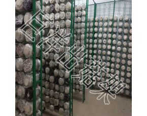食用菌出菇網格 平菇出菇網格架 秀珍菇出菇網格
