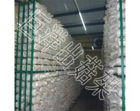 食用菌網格架廠家 蘑菇培養房網架 大棚蘑菇養殖架