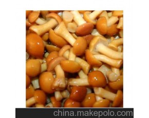 滑子菇量大！來收購商