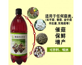 菌菇生態寶