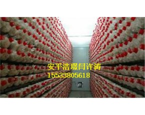 食用菌網(wǎng)格架價格