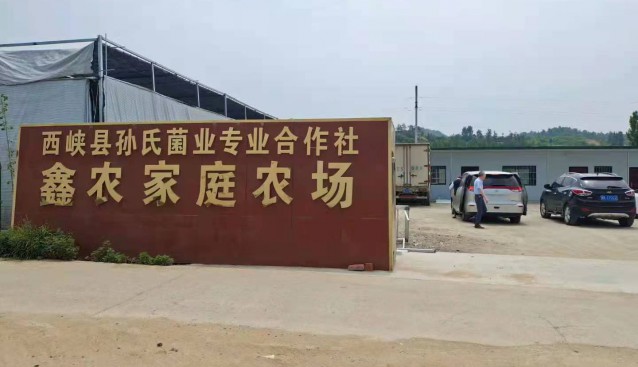 河南省農業農村廳合作經濟指導處領導一行蒞臨西峽縣孫氏菌業合作社調研