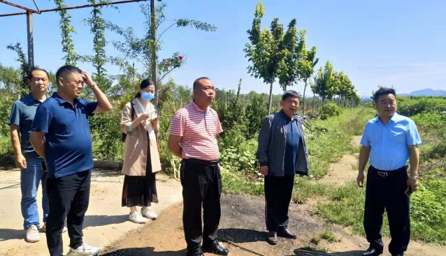 河南省安陽市農業農村局領導帶隊前往三門峽九龍山公司考察羊肚菌種植項目