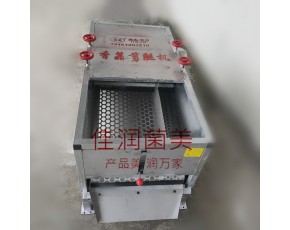 蘑菇磨腳機