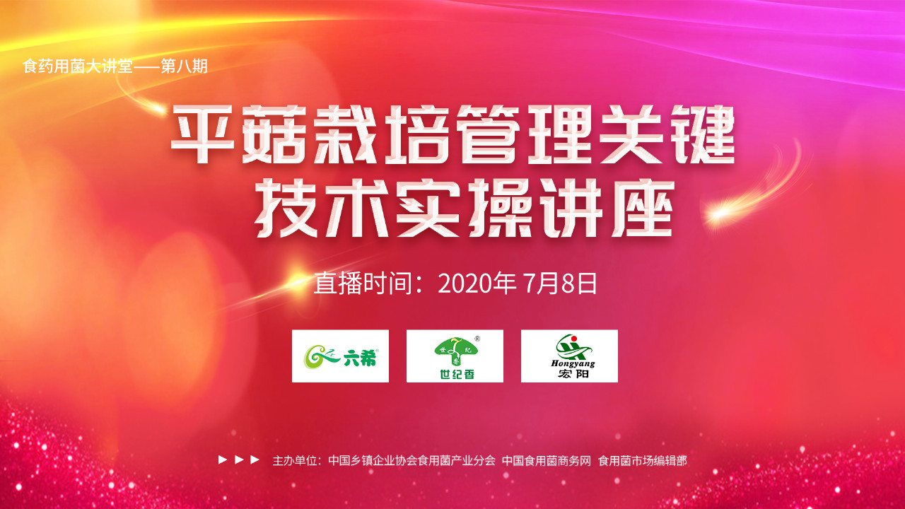 平菇栽培管理關鍵技術實操講座