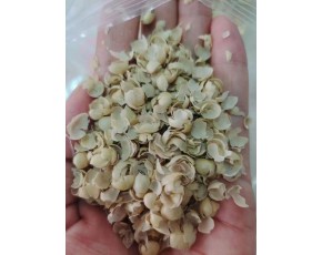 優質豆皮