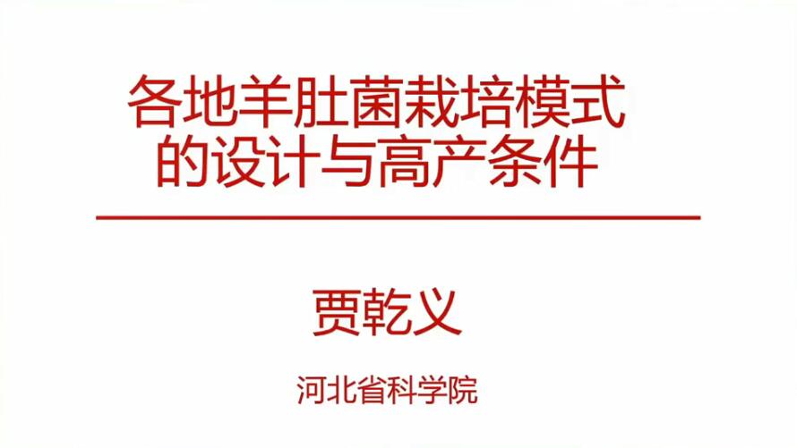 各地羊肚菌栽培模式的設計與高產條件-賈乾義老師