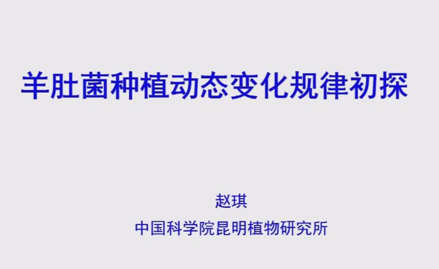 羊肚菌種植動態變化規律初探