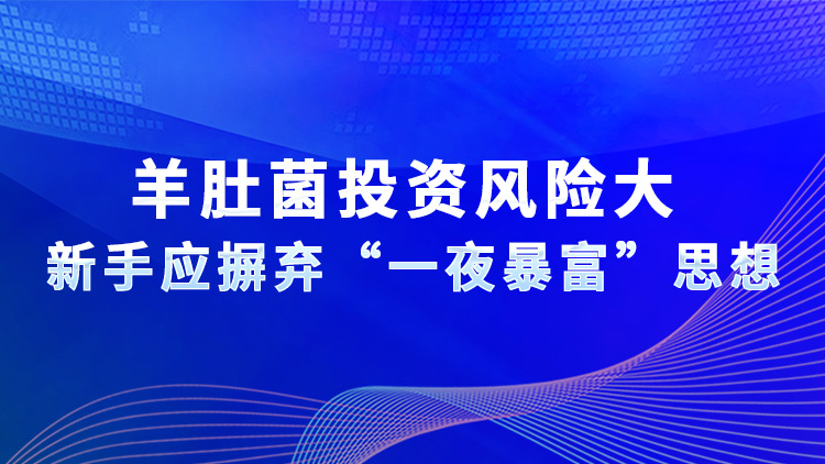 羊肚菌投資風險大  新手應摒棄“一夜暴富”思想