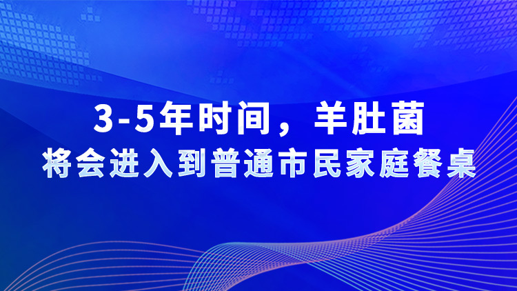 3-5年時間，羊肚菌將會進入到普通市民家庭餐桌