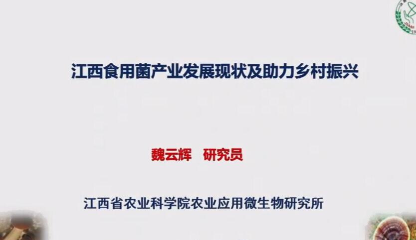 魏云輝：江西食用菌產業發展現狀及助力鄉村振興