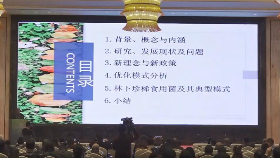 陳幸良：鄉村振興背景下林下經濟與珍稀食用菌發展