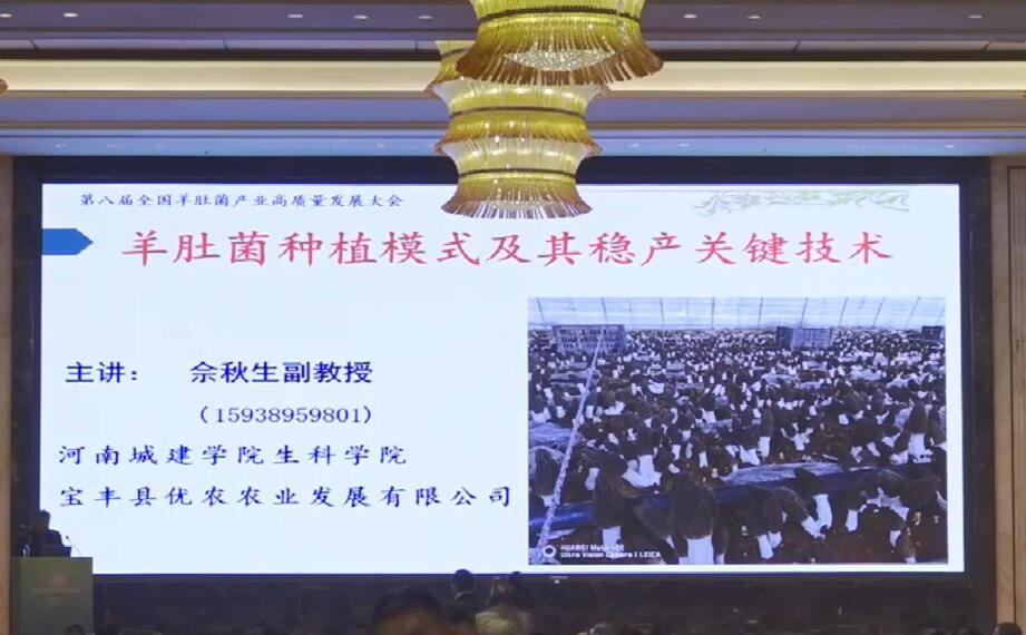 佘秋生：羊肚菌種植模式及其穩產關鍵技術