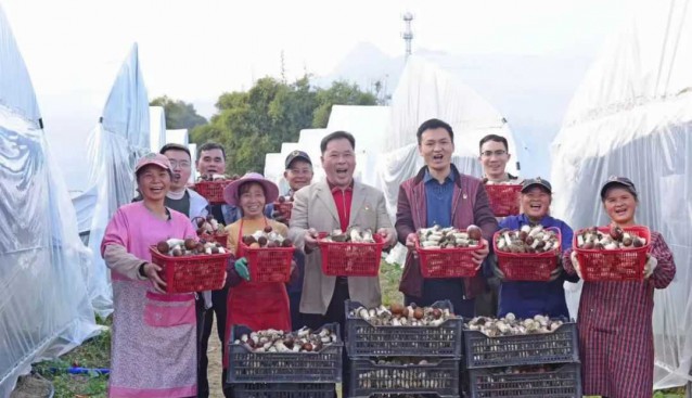 三寶食用菌種植基地：“紅傘傘”成“金餑餑”