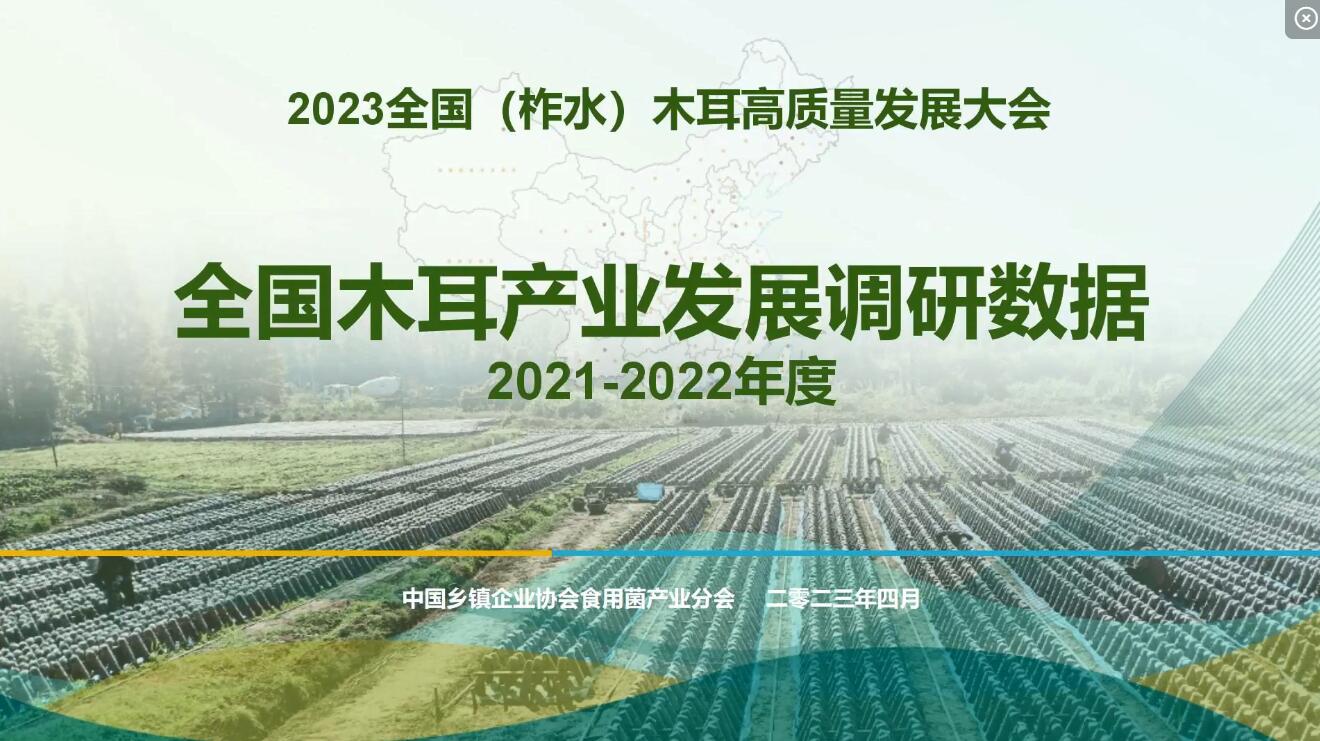 2021-2022年度全國木耳產業調研數據-李昊