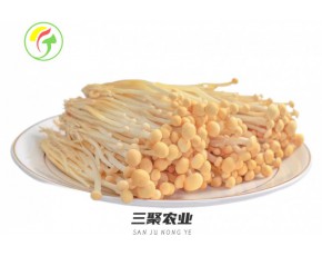 上海三聚農產品有限公司