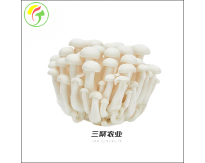 上海三聚農產品有限公司-白玉菇