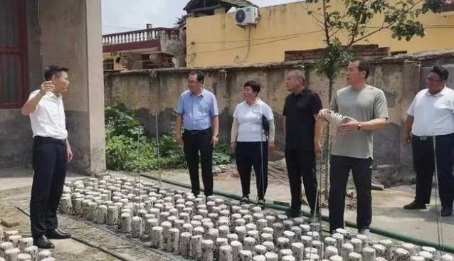 山東滕州：調研分布式庭院食用菌產業發展工作