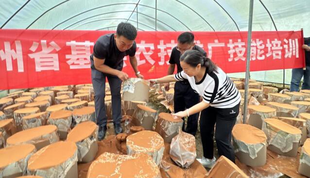 銅仁職院：科技惠農，解決農戶食用菌種植技術難題
