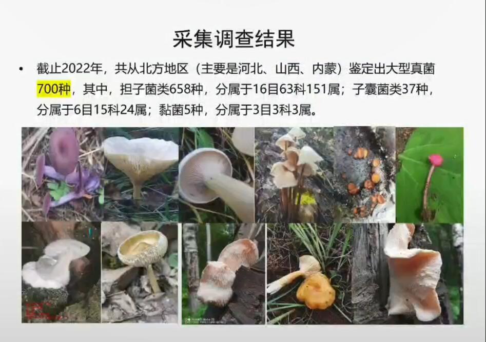 王立安-北方地區野生食藥用菌資源研究與開發