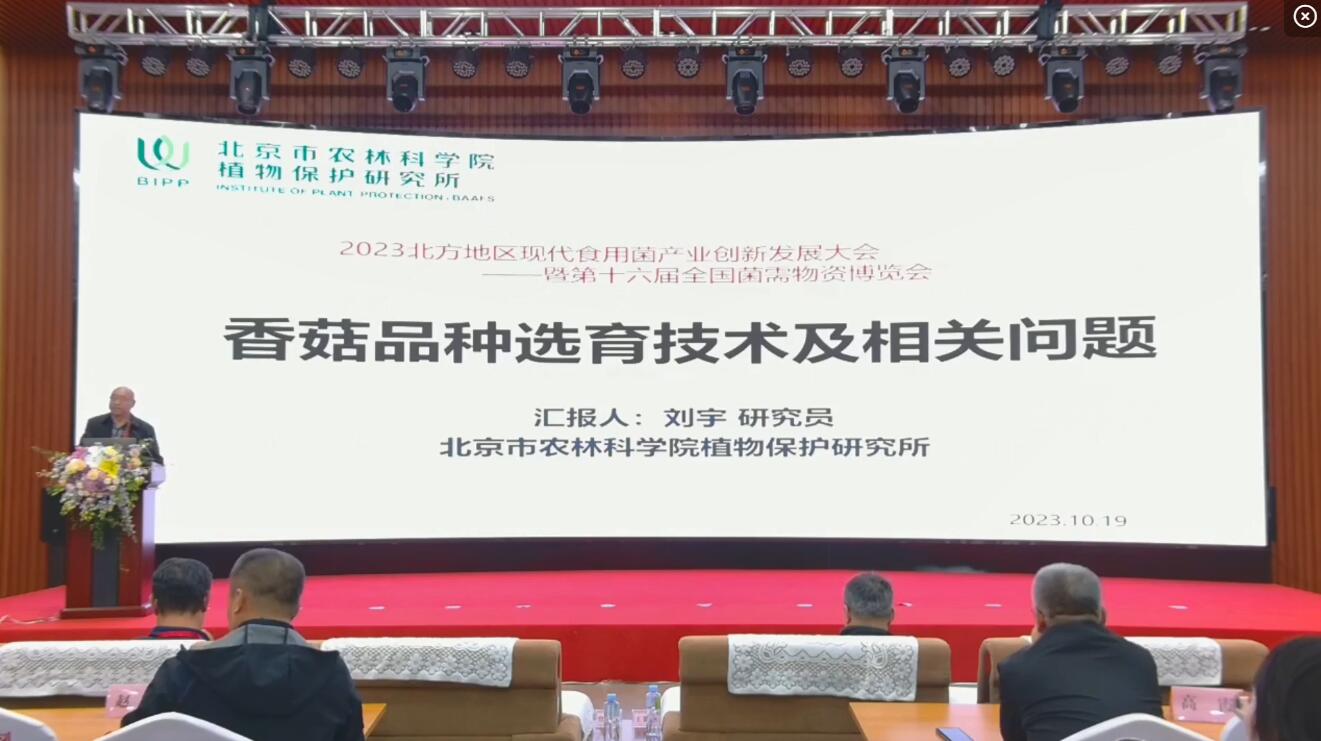 劉宇-香菇品種選育技術及相關問題