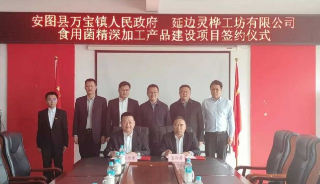 吉林安圖縣：萬寶鎮靈樺工坊食用菌精深加工產品項目簽約