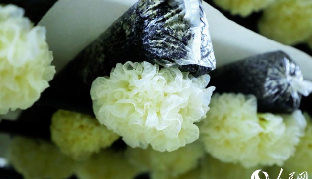銀耳太空遨游后，增產(chǎn)超一成