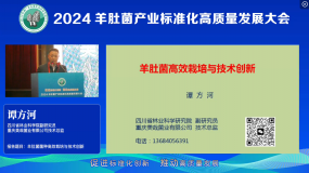 譚方河 羊肚菌高效栽培與技術創新
