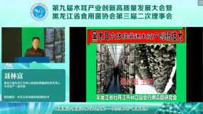 聶林富：木耳立體串袋栽培創新技術