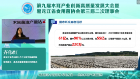 齊偉紅：黑木耳菌渣資源化利用技術