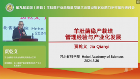 賈乾義：羊肚菌穩產栽培管理經驗及產業化發展建議