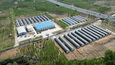 山東曲阜：香菇智慧種植激活傳統農業新動能