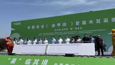 “菌”韻悠長(zhǎng)！中原農(nóng)谷韓董莊鎮(zhèn)（由甲田）首屆木耳采摘節(jié)開幕
