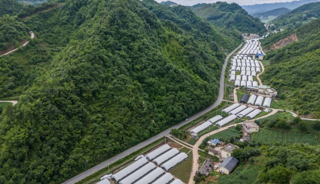 貴州赫章：小菌菇成就大產業
