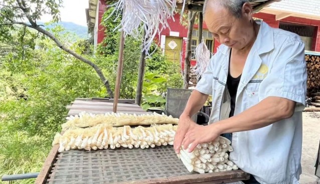 打通菌菇產銷通道，助農增收