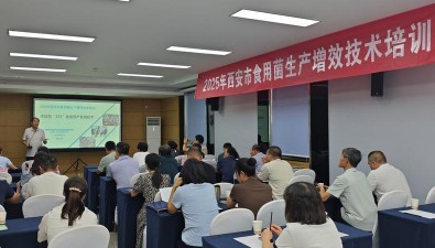 陜西西安：推廣食用菌增效新技術，助農增產增收